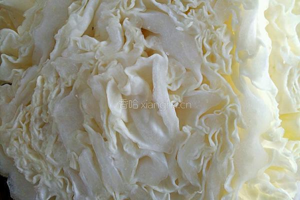 爽口白菜凉菜的做法图解1