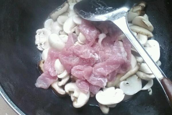 双菇干腐肉片的做法图解13