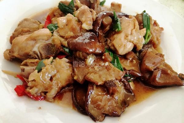 香菇蚝油焖鸡肉的做法图解15