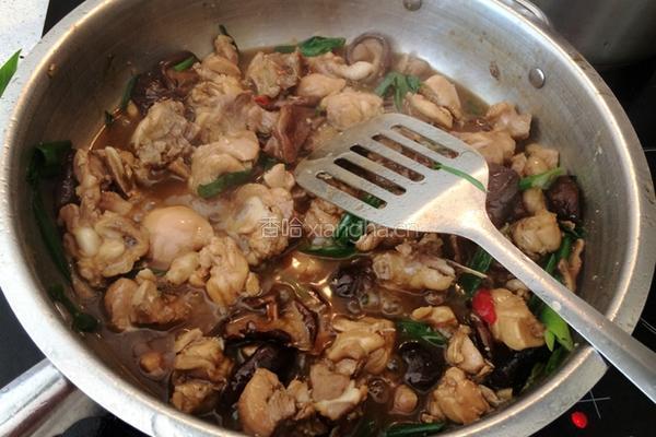 香菇蚝油焖鸡肉的做法图解14