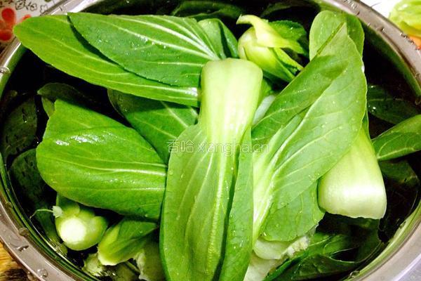 蚝油香菇油菜的做法图解1