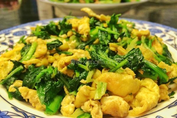 荠菜炒蛋的做法图解8