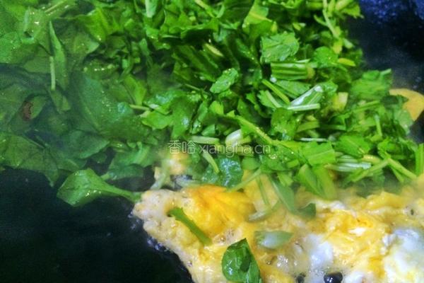 荠菜炒蛋的做法图解6