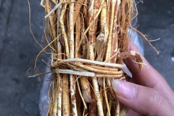 五指毛桃荷包豆猪骨的做法图解1