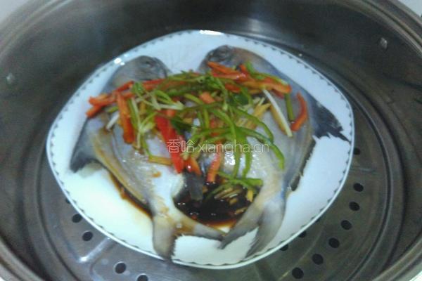 清蒸鯧鳊鱼的做法图解5