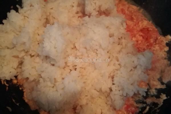 蕃茄蛋炒饭的做法图解5