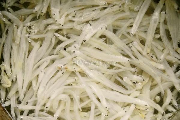 银鱼鸡蛋饼的做法图解1
