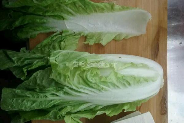 白菜豆腐的做法图解1
