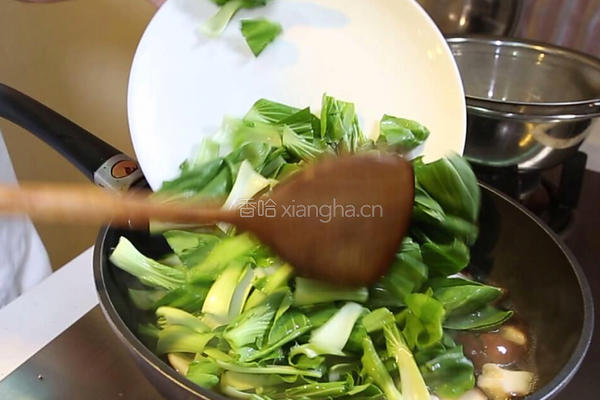 香菇炒油菜的做法图解4