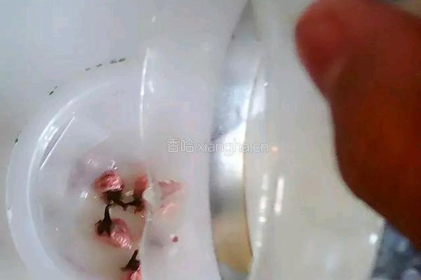 日式樱花奶冻的做法图解11