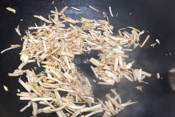 猪肉白菜炖粉条的做法图解4