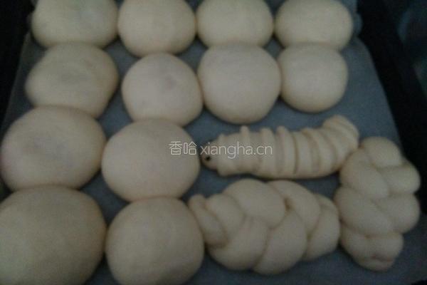 奶香小面包的做法图解6
