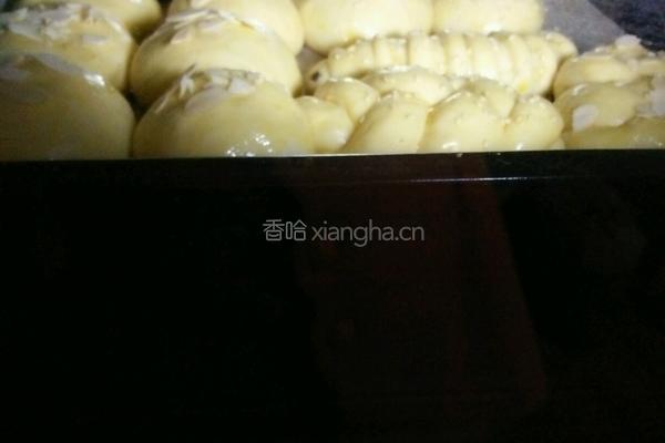 奶香小面包的做法图解7