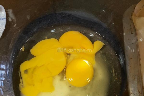 水果瑞士卷的做法图解4