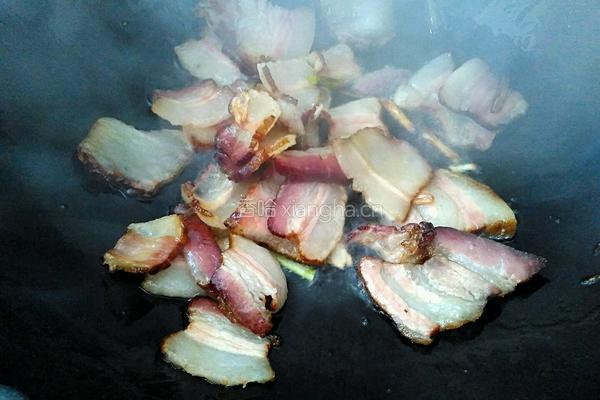 春笋炒腊肉的做法图解7