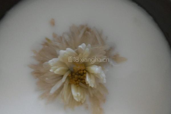 菊花酸奶！的做法图解5