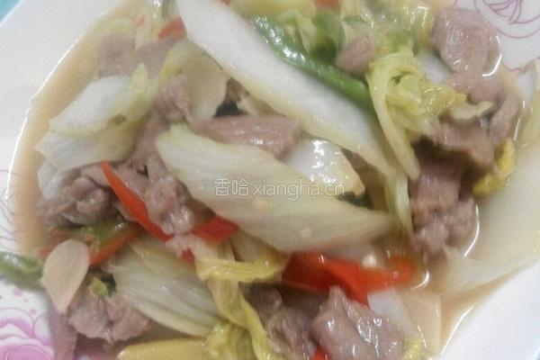 猪肉炒大白菜的做法图解4