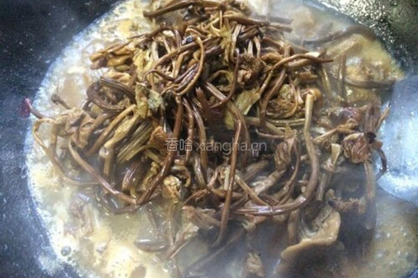 茶树菇烧肉的做法图解6