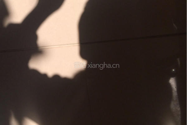 爱心绿豆沙饼的做法图解8