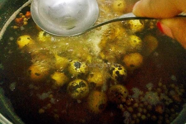 卤鹌鹑蛋的做法图解8
