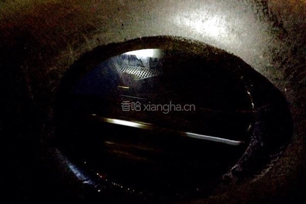 香酥葱油饼。。。饺子皮的华丽变身的做法图解9