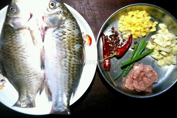 豆瓣鲫鱼的做法图解1