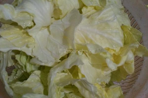 蒜末炒卷心菜的做法图解2