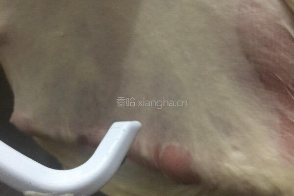 时尚妈妈教你做香葱芝士面包的做法图解5