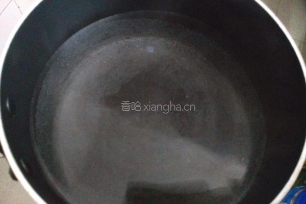 鱼丸茴香汤的做法图解5