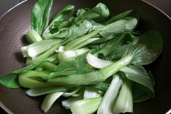 蒜蓉上海青的做法图解4