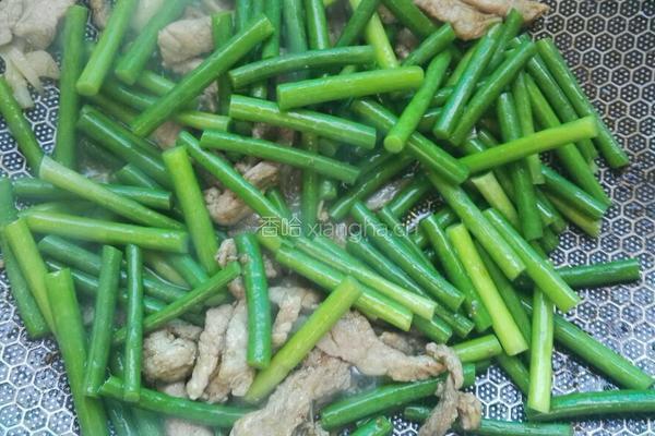 蒜薹滑肉丝的做法图解6