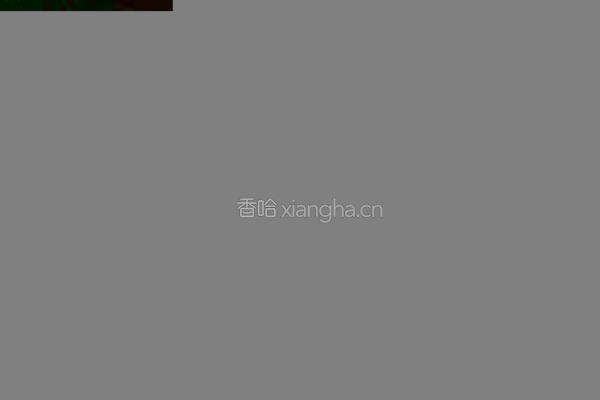法式煎吐司的做法图解4
