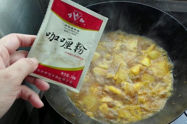 咖喱土豆鸡丁的做法图解6