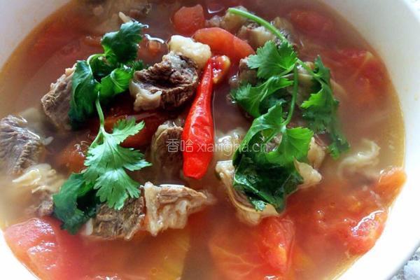 牛肉炖西红柿的做法图解8