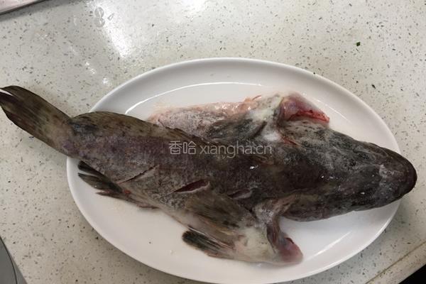 清蒸石斑鱼的做法图解2