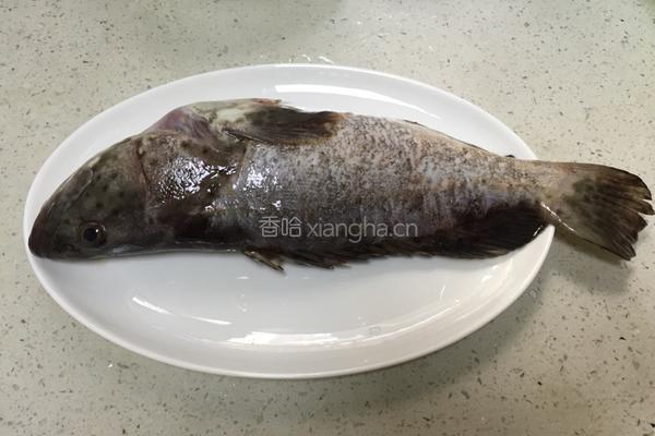 清蒸石斑鱼的做法图解1