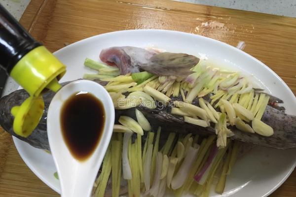 清蒸石斑鱼的做法图解8