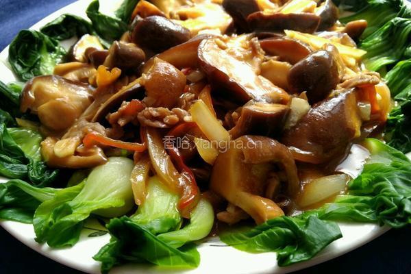 蚝油香菇油菜的做法图解6