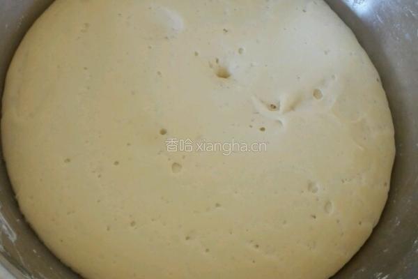 白菜素包子的做法图解5