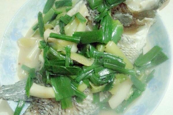 红烧珍珠斑