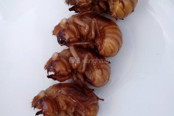 油炸金蝉的做法图解1