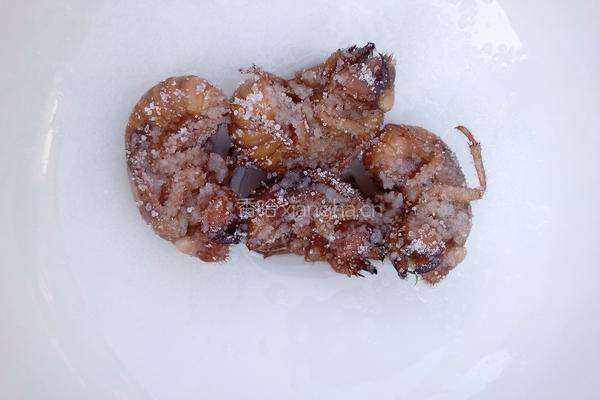 油炸金蝉的做法图解2