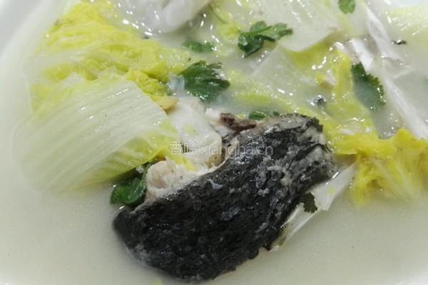 白菜鱼头汤的做法图解12