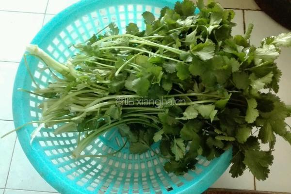 香菜拌鸭胗的做法图解1