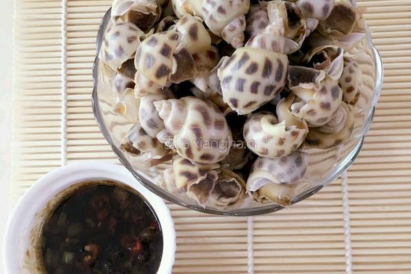 白灼花螺的做法图解7