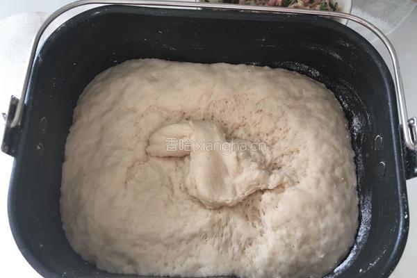 葱肉包子 的做法图解2