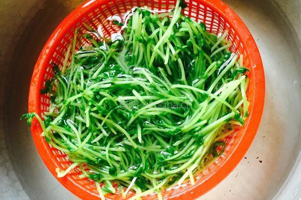 上汤豆苗的做法图解5