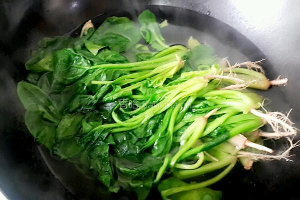 白灼菠菜的做法图解3