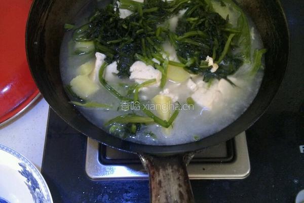 雪里蕻炖豆腐的做法图解4
