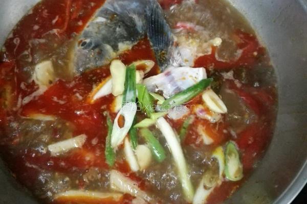 泡菜鱼的做法图解3